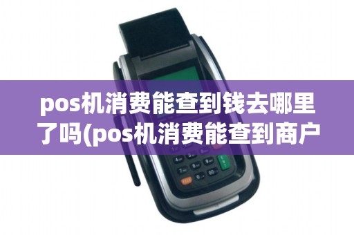 pos机消费能查到钱去哪里了吗(pos机消费能查到商户吗)