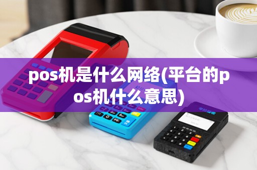 pos机是什么网络(平台的pos机什么意思)