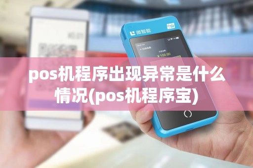 pos机程序出现异常是什么情况(pos机程序宝)