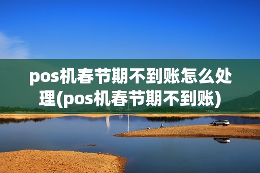 pos机春节期不到账怎么处理(pos机春节期不到账)