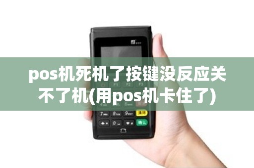 pos机死机了按键没反应关不了机(用pos机卡住了)