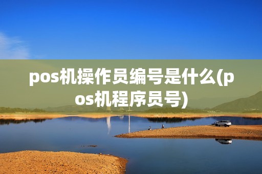 pos机操作员编号是什么(pos机程序员号)