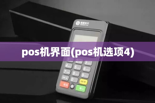 pos机界面(pos机选项4)