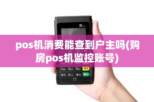 pos机消费能查到户主吗(购房pos机监控账号)