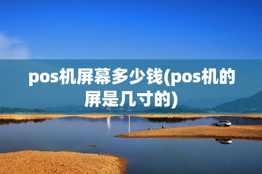 pos机屏幕多少钱(pos机的屏是几寸的)