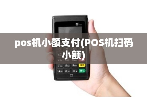 pos机小额支付(POS机扫码小额)
