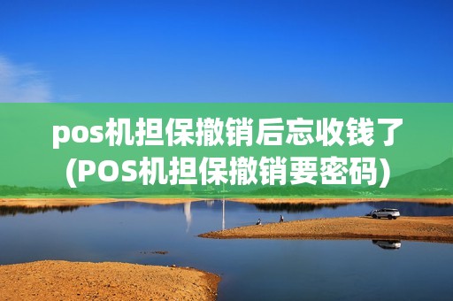 pos机担保撤销后忘收钱了(POS机担保撤销要密码)