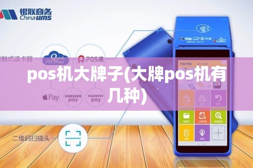 pos机大牌子(大牌pos机有几种)