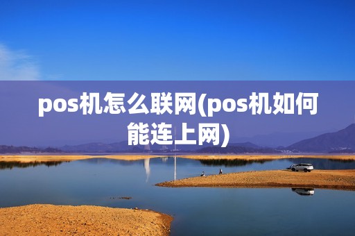 pos机怎么联网(pos机如何能连上网)