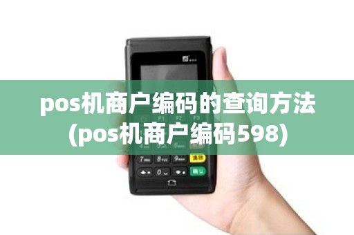 pos机商户编码的查询方法(pos机商户编码598)