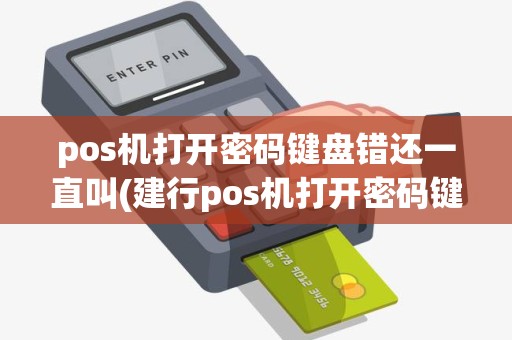 pos机打开密码键盘错还一直叫(建行pos机打开密码键盘错)