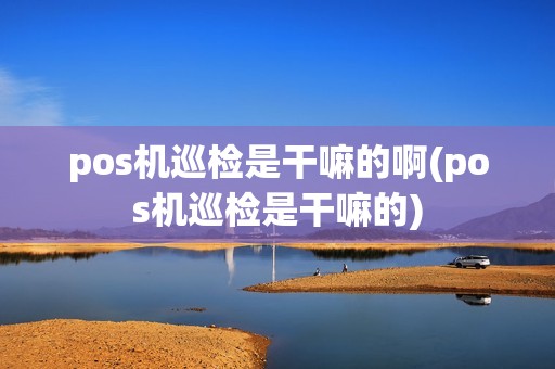 pos机巡检是干嘛的啊(pos机巡检是干嘛的)