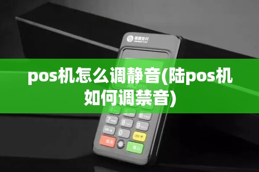 pos机怎么调静音(陆pos机如何调禁音)