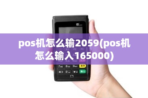 pos机怎么输2059(pos机怎么输入165000)