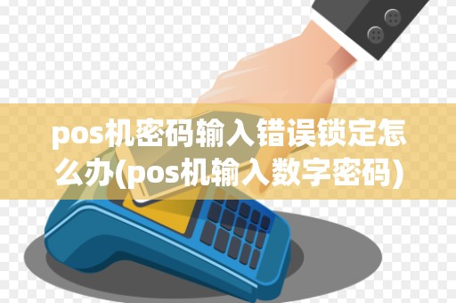 pos机密码输入错误锁定怎么办(pos机输入数字密码)
