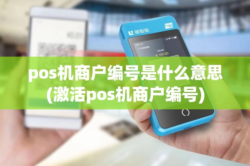 pos机商户编号是什么意思(激活pos机商户编号)