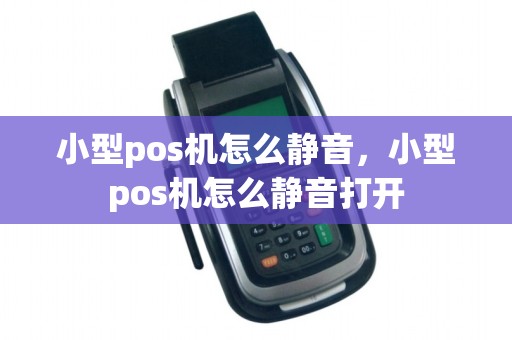 小型pos机怎么静音，小型pos机怎么静音打开