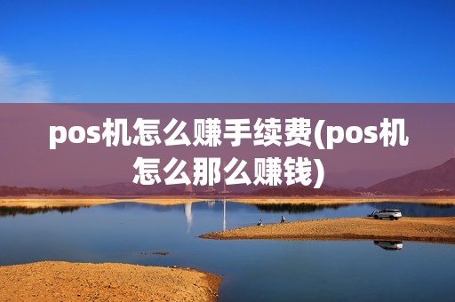 pos机怎么赚手续费(pos机怎么那么赚钱)