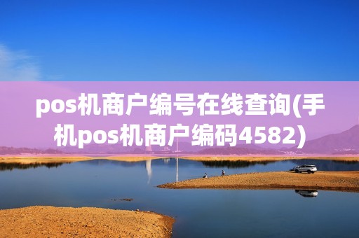 pos机商户编号在线查询(手机pos机商户编码4582)