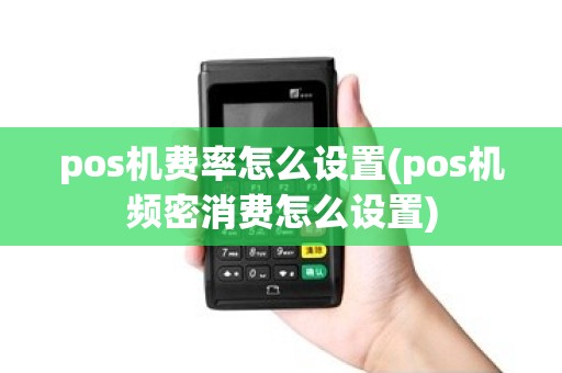 pos机费率怎么设置(pos机频密消费怎么设置)
