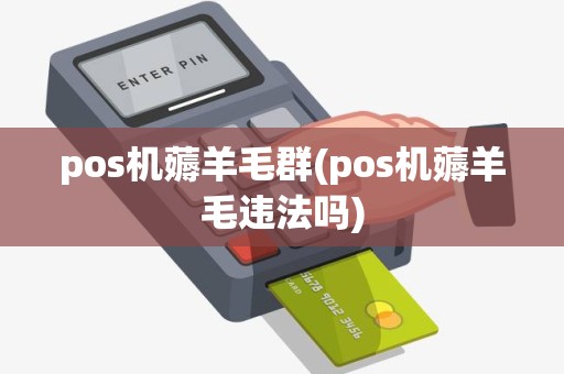 pos机薅羊毛群(pos机薅羊毛违法吗)