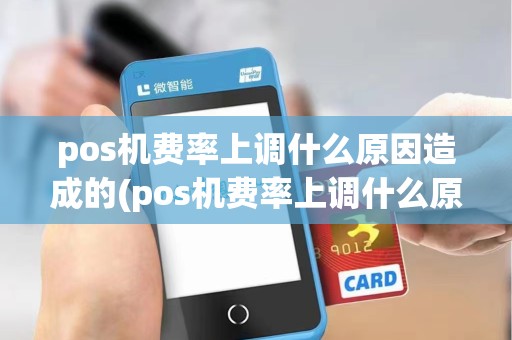 pos机费率上调什么原因造成的(pos机费率上调什么原因)