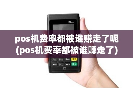 pos机费率都被谁赚走了呢(pos机费率都被谁赚走了)