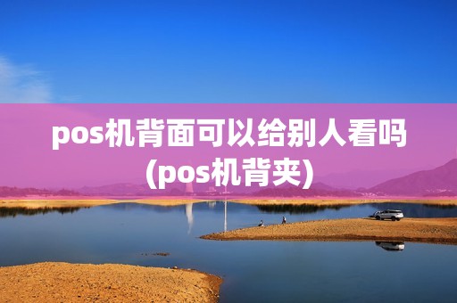 pos机背面可以给别人看吗(pos机背夹)