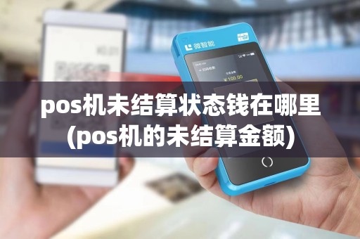 pos机未结算状态钱在哪里(pos机的未结算金额)