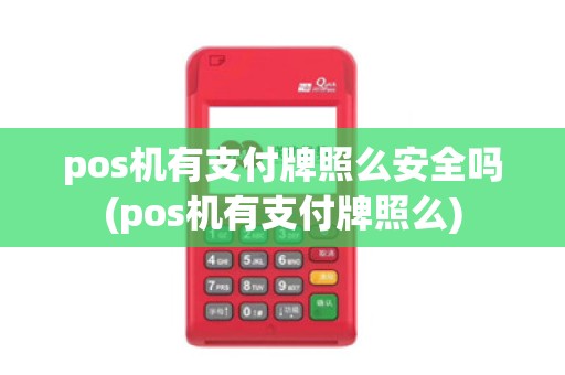 pos机有支付牌照么安全吗(pos机有支付牌照么)