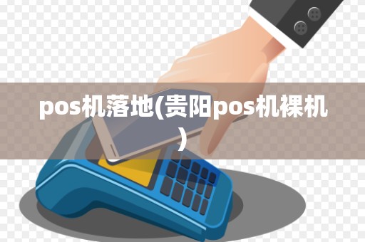 pos机落地(贵阳pos机裸机)