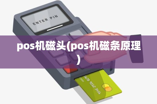 pos机磁头(pos机磁条原理)