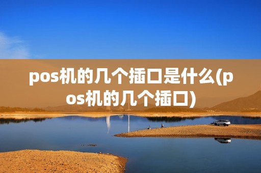 pos机的几个插口是什么(pos机的几个插口)