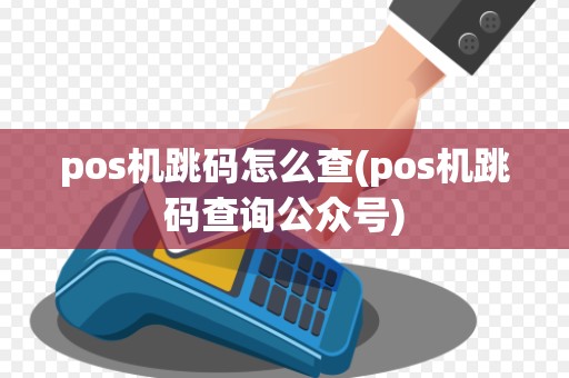 pos机跳码怎么查(pos机跳码查询公众号)