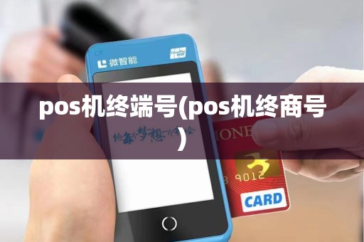 pos机终端号(pos机终商号)