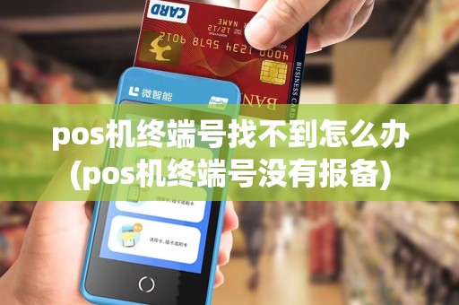 pos机终端号找不到怎么办(pos机终端号没有报备)