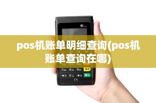 pos机账单明细查询(pos机账单查询在哪)