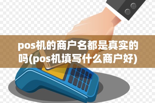 pos机的商户名都是真实的吗(pos机填写什么商户好)