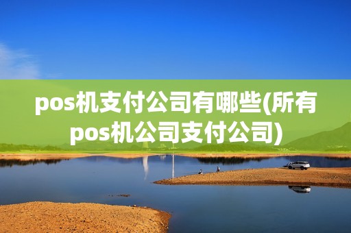pos机支付公司有哪些(所有pos机公司支付公司)