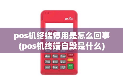 pos机终端停用是怎么回事(pos机终端自毁是什么)