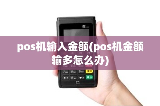 pos机输入金额(pos机金额输多怎么办)
