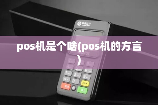pos机是个啥(pos机的方言)