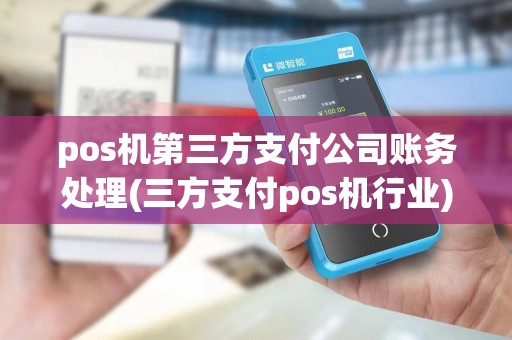 pos机第三方支付公司账务处理(三方支付pos机行业)