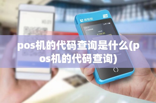 pos机的代码查询是什么(pos机的代码查询)