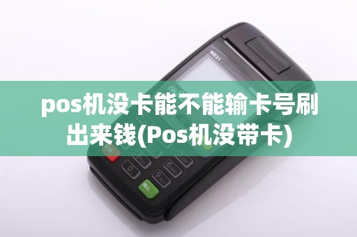 pos机没卡能不能输卡号刷出来钱(Pos机没带卡)