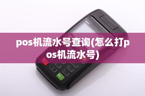 pos机流水号查询(怎么打pos机流水号)