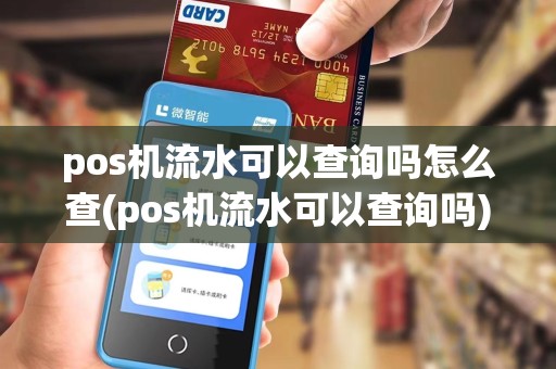 pos机流水可以查询吗怎么查(pos机流水可以查询吗)