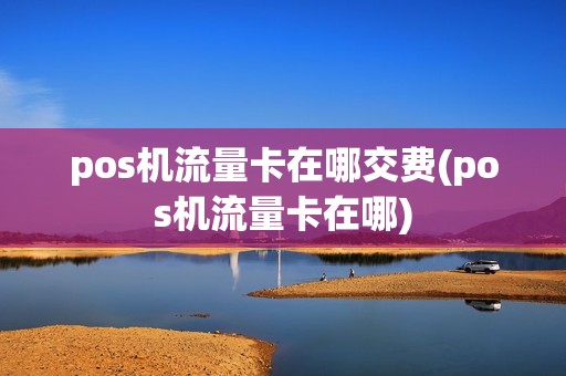 pos机流量卡在哪交费(pos机流量卡在哪)