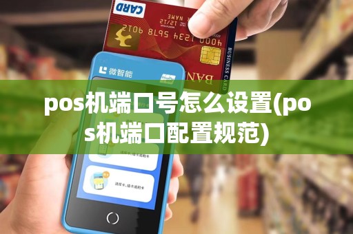 pos机端口号怎么设置(pos机端口配置规范)