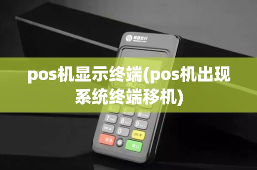 pos机显示终端(pos机出现系统终端移机)